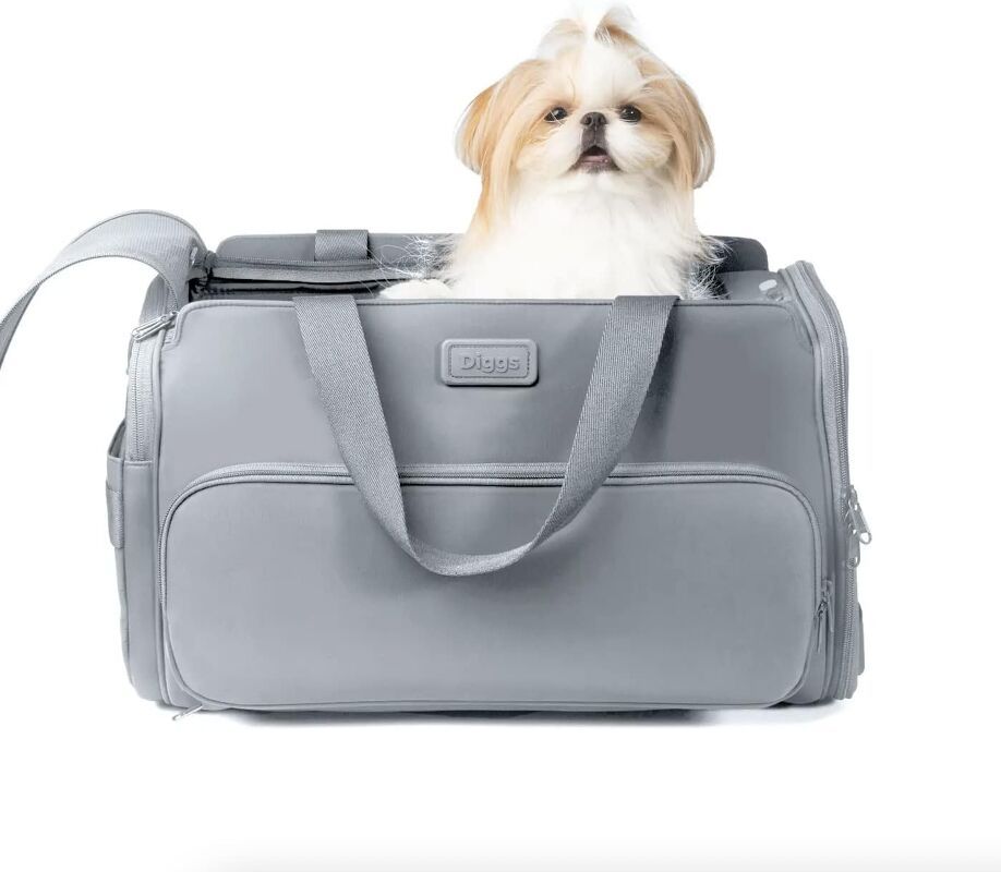 How To Keep Your Dog Safe In The Car
